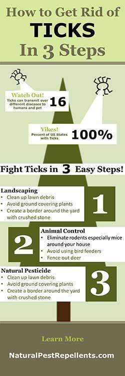how to get rid of ticks in your yard infographic
