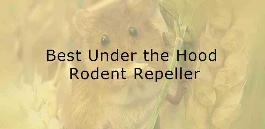 best under the hood rodent repeller