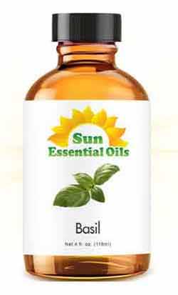 use basil oil to get rid of fruit flies