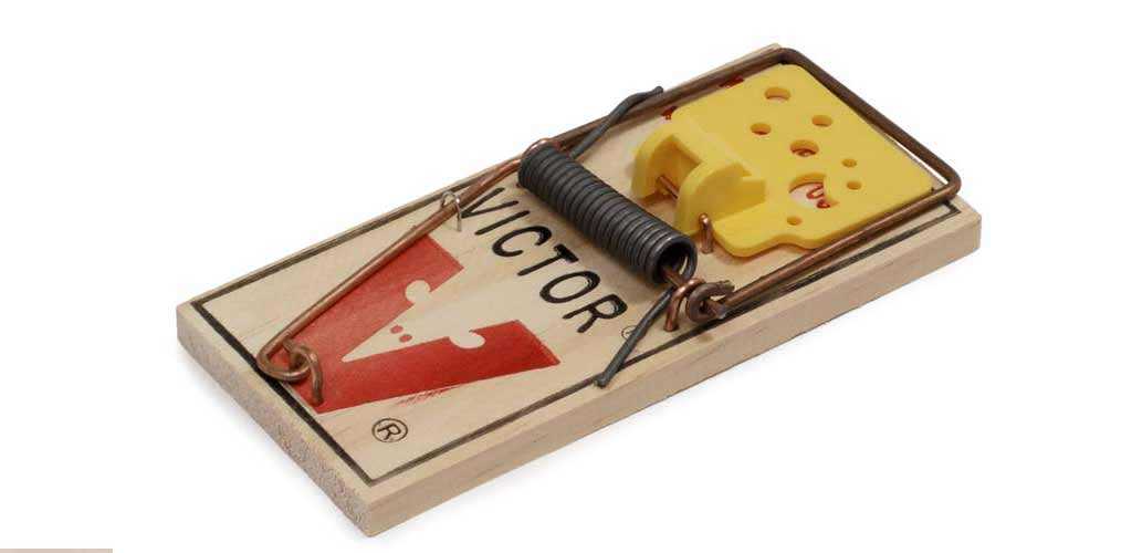 DIY mouse trap